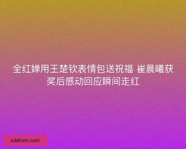 全红婵用王楚钦表情包送祝福 崔晨曦获奖后感动回应瞬间走红