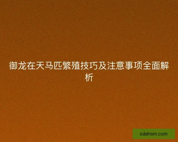御龙在天马匹繁殖技巧及注意事项全面解析