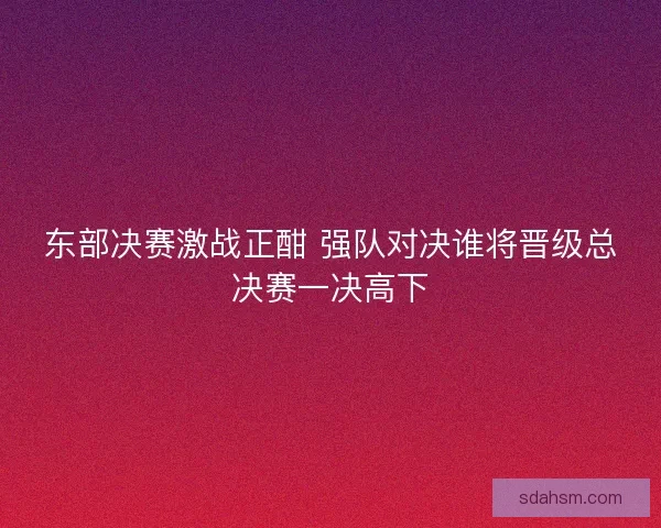 东部决赛激战正酣 强队对决谁将晋级总决赛一决高下