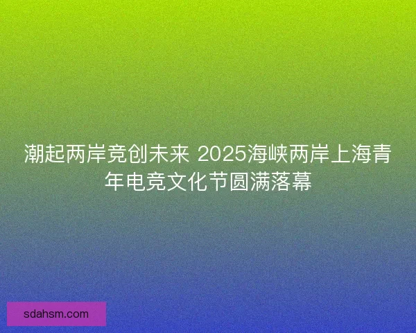 潮起两岸竞创未来 2025海峡两岸上海青年电竞文化节圆满落幕 潮起两岸竞创未来 2025海峡两岸上海青年电竞文化节圆满落幕