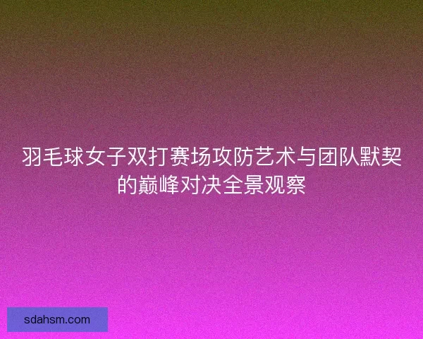羽毛球女子双打赛场攻防艺术与团队默契的巅峰对决全景观察
